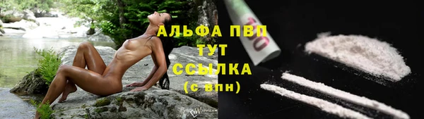 амф Алексин