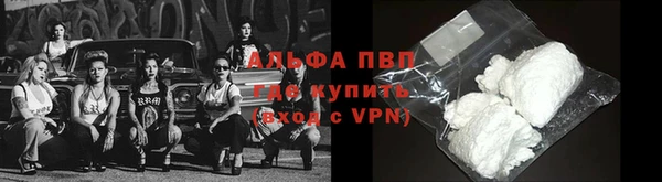 амф Алексин