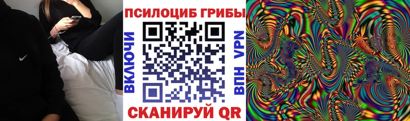 Галлюциногенные грибы мицелий  Берёзовский 